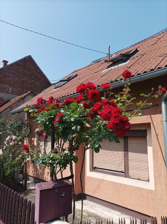 Apartament Annabelle Zagrzeb Zewnętrze zdjęcie